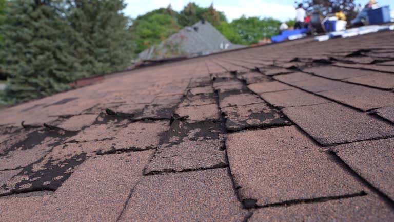 Best Emergency Roof Repair Services  in , IN