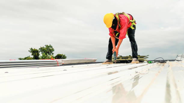 Best Roof Insulation Installation  in , IN