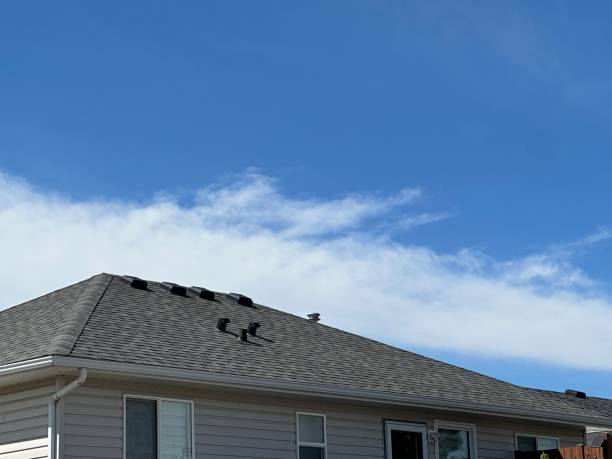 Best Sheet Metal Roofing  in , IN